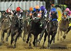 2011 Breeders' Cup Classic
<br><a target="blank" href="http://www.bloodhorse.com/horse-racing/photo-store?ref=http%3A%2F%2Fpictopia.com%2Fperl%2Fgal%3Fprovider_id%3D368%26ptp_photo_id%3D9729365%26ref%3Dstory">Order This Photo</a>