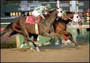 Toccet Scores a Hollywood Hit in Futurity Toccet Scores a Hollywood Hit in Futurity