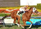 Presious Passion Leads Sheema Classic Cast Presious Passion Leads Sheema Classic Cast