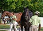 Keeneland: Powerscourt Colt Highlights Day 12 Keeneland: Powerscourt Colt Highlights Day 12