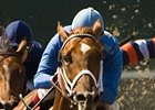 Smiling Tiger will be looking to pounce on his third lifetime win in six starts.