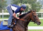 Game On Dude at Belmont Park on June 3.<br><a target="blank" href="http://www.bloodhorse.com/horse-racing/photo-store?ref=http%3A%2F%2Fpictopia.com%2Fperl%2Fgal%3Fprovider_id%3D368%26ptp_photo_id%3D9052520%26ref%3Dstory">Order This Photo</a>