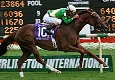 Snow Polina Edges Happyanunoit in Beverly D. Snow Polina Edges Happyanunoit in Beverly D.