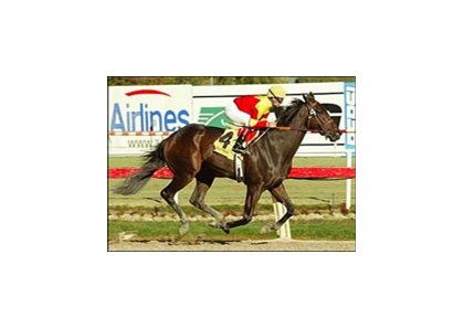 Fusaichi Samurai is early future book co-favorite, despite having run just once.