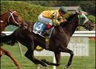 Gimme Credit appears ready for the Red Bank.
