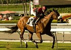 Gotta Have Her rules the hillside turf course in the Sen. Ken Maddy Handicap.<br><a target="blank" href="http://www.bloodhorse.com/horse-racing/photo-store?ref=http%3A%2F%2Fpictopia.com%2Fperl%2Fgal%3Fprovider_id%3D368%26ptp_photo_id%3D8560776%26ref%3Dstory">Order This Photo</a>