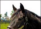 Millionaire Wallenda Put Down at Old Friends Millionaire Wallenda Put Down at Old Friends