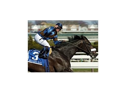 <a href="http://www.exclusivelyequine.com/ee.asp?PI=P25-1004"target="_blank;">Bellamy Road</a>, impressive in Wood Memorial victory.