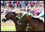 Fair Grounds Race Report: Well Connected Fair Grounds Race Report: Well Connected