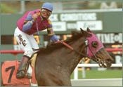 Starrer Skims Rail for a Handy Bayakoa Victory Starrer Skims Rail for a Handy Bayakoa Victory