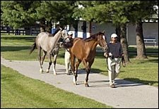 Outlook Bright for Fasig-Tipton July Yearling Auction Outlook Bright for Fasig-Tipton July Yearling Auction