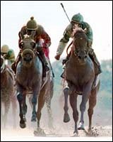 Belmont Park Race Report: Storybook Finish Belmont Park Race Report: Storybook Finish