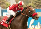Acclamation won the Charles Whittingham Memorial Handicap in 2010 and 2011 (shown).