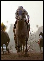 Steve Haskin's Derby Watch -- Week 4 (2/12/2002) Steve Haskin's Derby Watch -- Week 4 (2/12/2002)