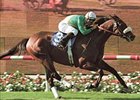 Sarafan, shown winning the 2002 Eddie Read, will be seen on the new A&E series, 'The Cleaner,' to air Aug. 12.