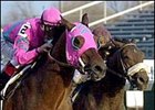 Saint Liam Spirited Winner of Clark Handicap Saint Liam Spirited Winner of Clark Handicap
