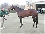 Barretts January Mixed Sale Fades in the Stretch Barretts January Mixed Sale Fades in the Stretch