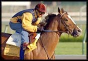 Likely Derby Favorite, Others in Final Workouts Likely Derby Favorite, Others in Final Workouts