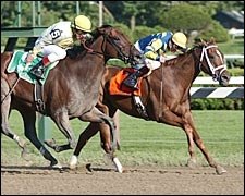 Harmony Lodge Out to Win Another Gulfstream Stakes Harmony Lodge Out to Win Another Gulfstream Stakes