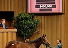 Hip 44, a filly by Lemon Drop Kid, sold for $400,000 at the Keeneland April Sale.