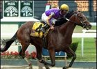 The owners of Teuflesberg are optimistic that he can recover from his injury in the Phoenix Stakes (gr.III) to begin his stud career next year.