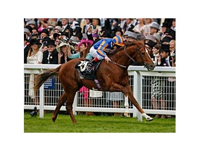 Starspangledbanner comes home strong to take the Golden Jubilee Stakes. <br><a target="blank" href="http://www.bloodhorse.com/horse-racing/photo-store?ref=http%3A%2F%2Fpictopia.com%2Fperl%2Fgal%3Fprovider_id%3D368%26ptp_photo_id%3D9073753%26ref%3Dstory">Order This Photo</a>