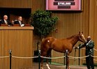 Majestic Warrior Colt Tops at Keeneland Majestic Warrior Colt Tops at Keeneland
