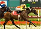 Undefeated Nashoba's Key defeated Balance by 3/4 of a length in the Vanity, the two meet again in the Hirsch.