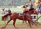Champion/Classic Winner Temperence Hill Dies in Thailand Champion/Classic Winner Temperence Hill Dies in Thailand