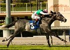 Midships had the lead at every call in the San Juan Capistrano. <br><a target="blank" href="http://www.bloodhorse.com/horse-racing/photo-store?ref=http%3A%2F%2Fgallery.pictopia.com%2Fbloodhorse%2Fgallery%2F69713%2Fphoto%2F8020757%2F%3Fo%3D0">Order This Photo</a>