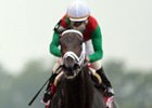 Millionaire mare Unbridled Belle will be the heavy favorite in the Turnback the Alarm Handicap.