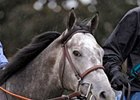 Conveyance<br><a target="blank" href="http://www.bloodhorse.com/horse-racing/photo-store?ref=http%3A%2F%2Fpictopia.com%2Fperl%2Fgal%3Fprovider_id%3D368%26ptp_photo_id%3D8931731%26ref%3Dstory">Order This Photo</a>