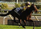 Serious Attitude leaves the boys behind in the Nearctic Stakes.