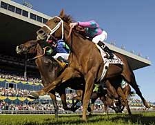 Porter on Pedigrees: Woodbine Turf Wonders Porter on Pedigrees: Woodbine Turf Wonders