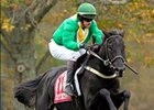 Black Jack Blues Romps in U.S. Grand National Black Jack Blues Romps in U.S. Grand National