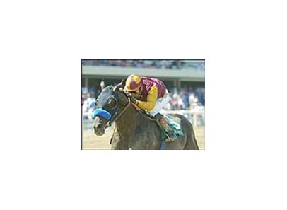 Chief Planner runs to victory in the Snow Chief Stakes, Saturday at Hollywood Park.