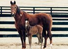 Amelia Bearhart with her 1996 filly.