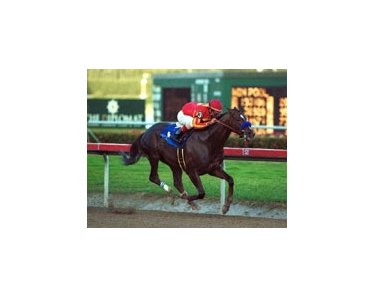 Captain Steve, winning Saturday's Donn Handicap.