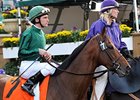 Champion Turf Male: Gio Ponti Champion Turf Male: Gio Ponti