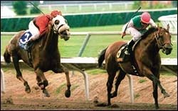 Skimming Needs Goodwood Victory To Move To Breeders' Cup Skimming Needs Goodwood Victory To Move To Breeders' Cup