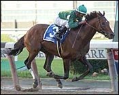 Frankel: A Mineshaft Cup Defection Could Cost Him Horse of the Year Frankel: A Mineshaft Cup Defection Could Cost Him Horse of the Year