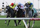 Court Vision (center, white silks) was awarded the Gulfstream Park Turf after the disqualification of Take the Points (right).<br><a target="blank" href="http://www.bloodhorse.com/horse-racing/photo-store?ref=http%3A%2F%2Fpictopia.com%2Fperl%2Fgal%3Fprovider_id%3D368%26ptp_photo_id%3D8781837%26ref%3Dstory">Order This Photo</a>