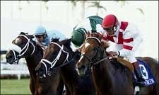 Go Between Rides Rail to Palm Beach Victory Go Between Rides Rail to Palm Beach Victory