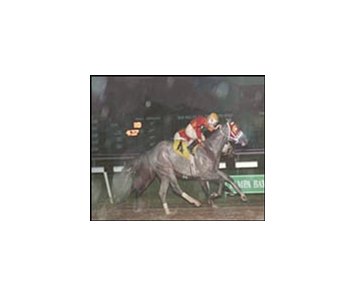 White Buck sloshes to victory in the Sam F. Davis Stakes.