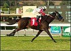 Spring House earns his first graded victory in the Carleton Burke.