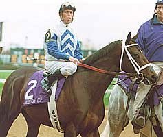 Evenly-Matched Field Entered in Gotham Evenly-Matched Field Entered in Gotham