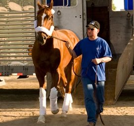 Curlin Settles in at Santa Anita Curlin Settles in at Santa Anita