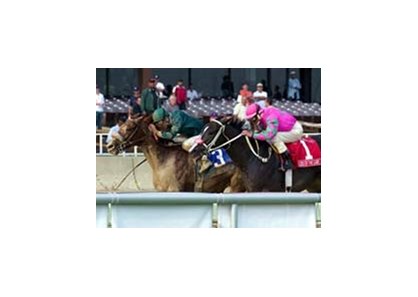 Super Frolic (3) edges Lord of the Game for the victory in Saturday's Hawthorne Gold Cup.