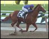 Bella Bellucci Steps Up in Astarita Stakes Bella Bellucci Steps Up in Astarita Stakes