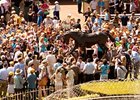 Fans Come Out Early to See Zenyatta Statue Fans Come Out Early to See Zenyatta Statue